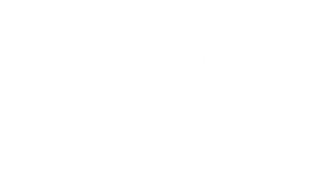 Distribuidora Testing